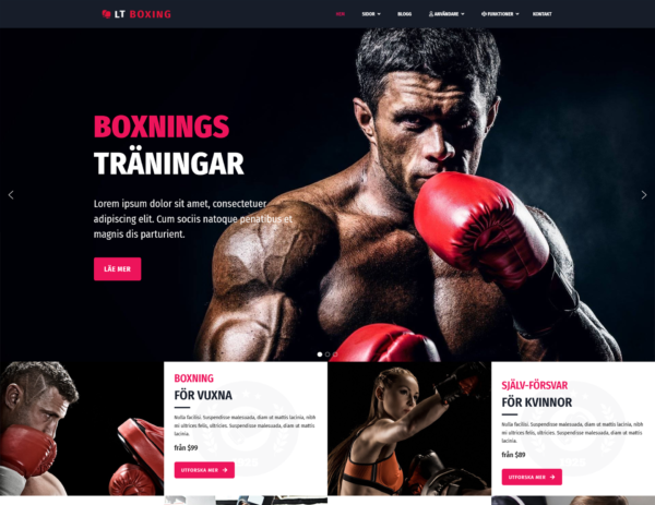LTBoxning