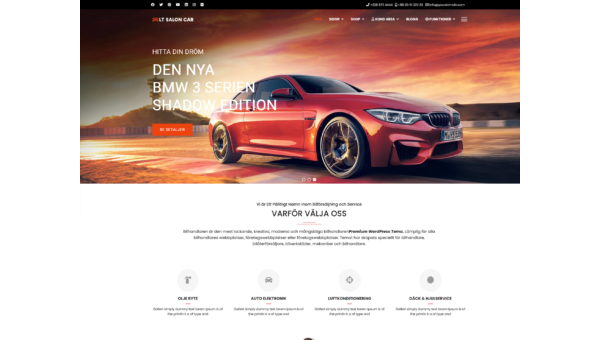 LT Salon Car